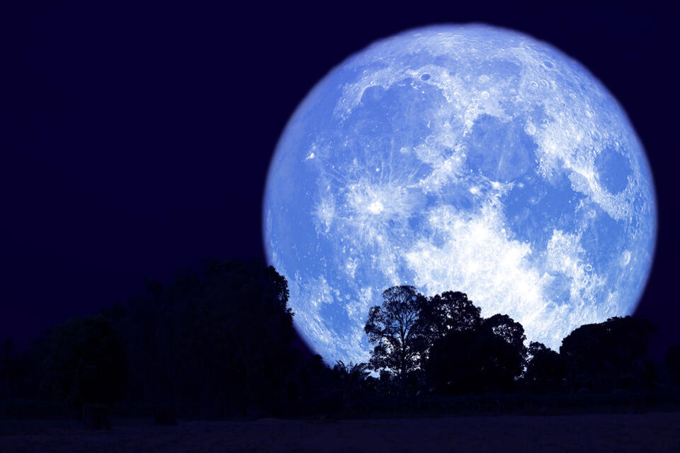 July's Buck Moon Rose. I Stayed Late