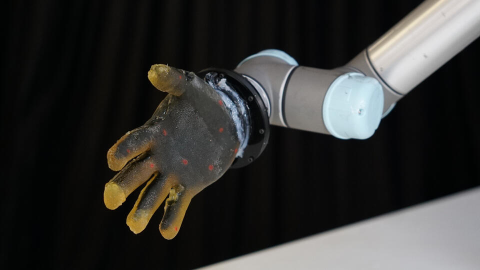 Would You Trust a Robot That Can Feel?