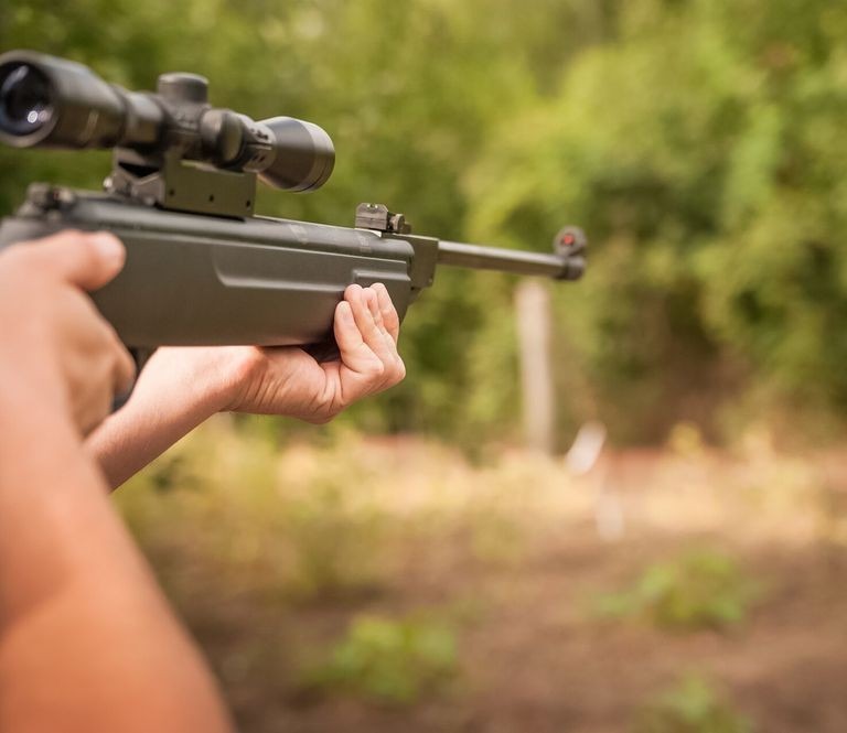 I'm getting more small game with air rifles