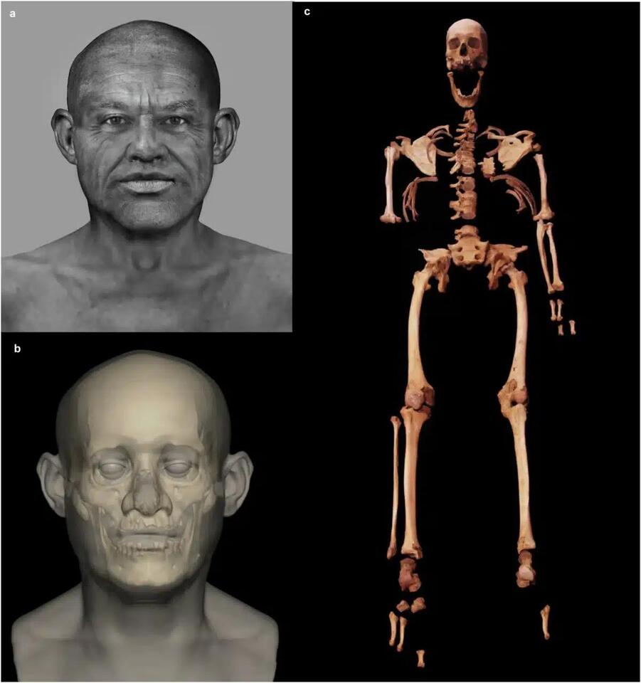 Ancient DNA Decoded. I'm Not