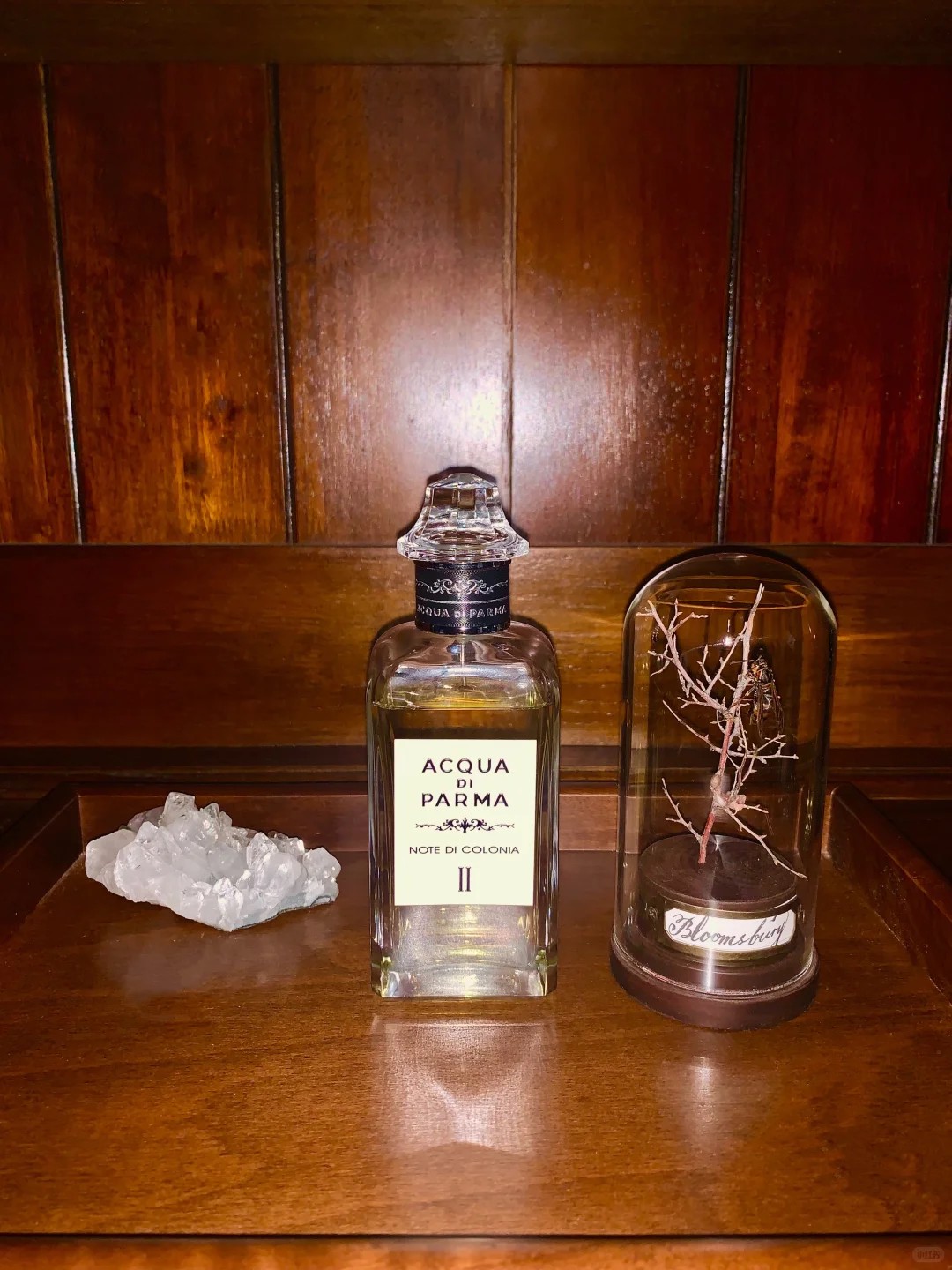 Scents That Know My Secrets