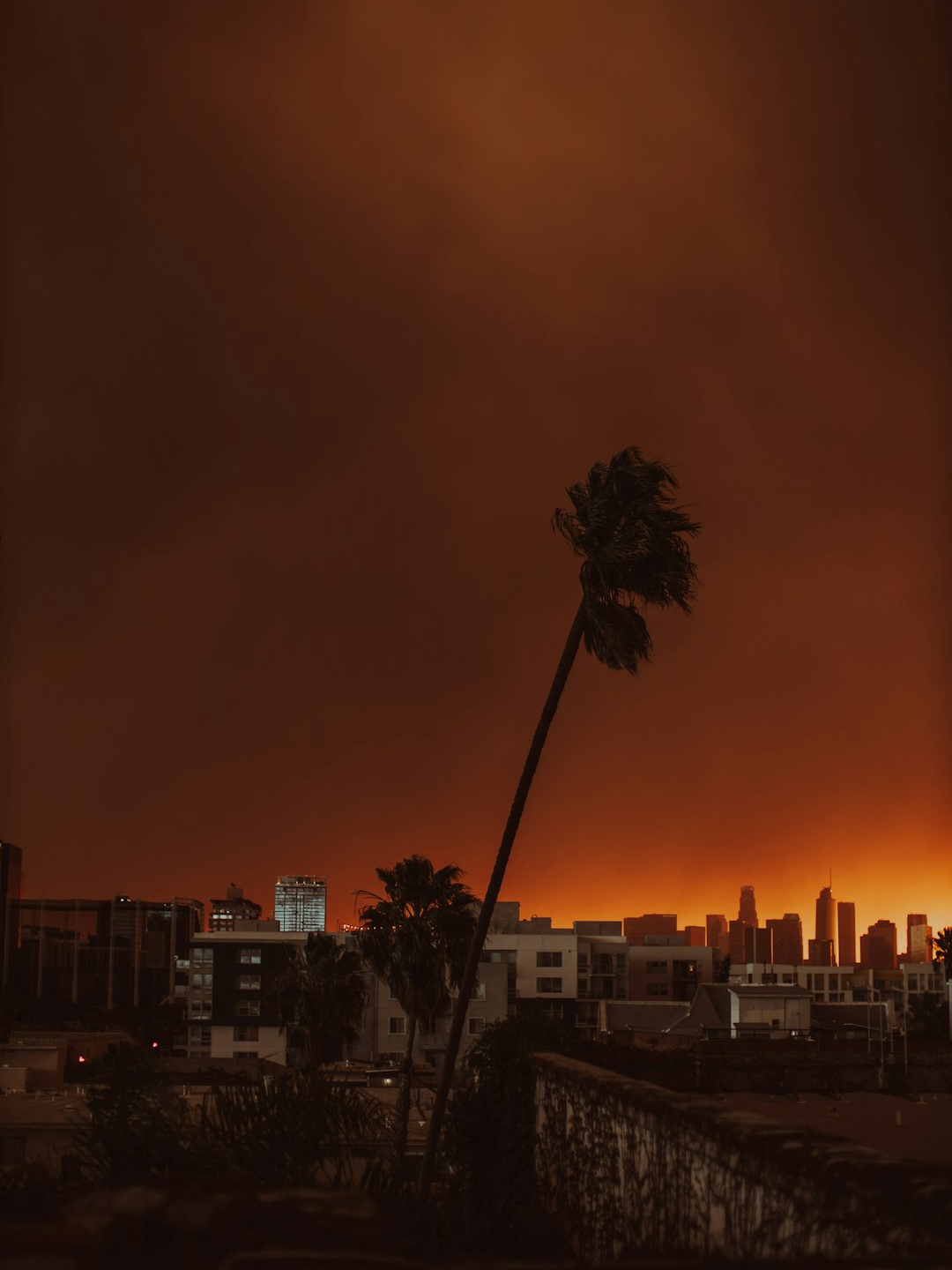 Magic Hour Turns Red: Artists and the Wildfires of Los Angeles