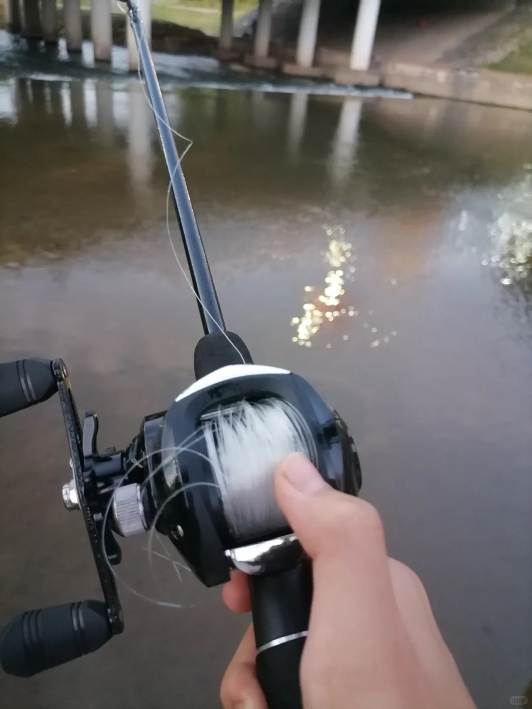 Why is my fishing line always twisted?