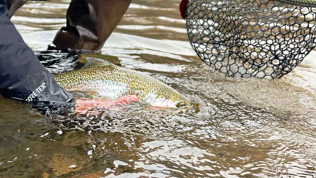 Is stocked fishing really fishing? 🤨