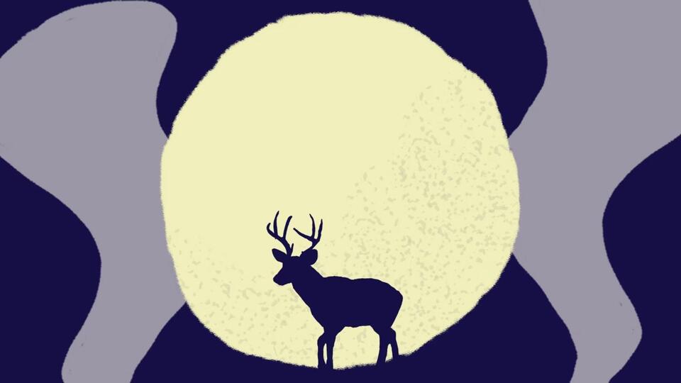 What July’s Buck Moon Means for Your Sign 🌕