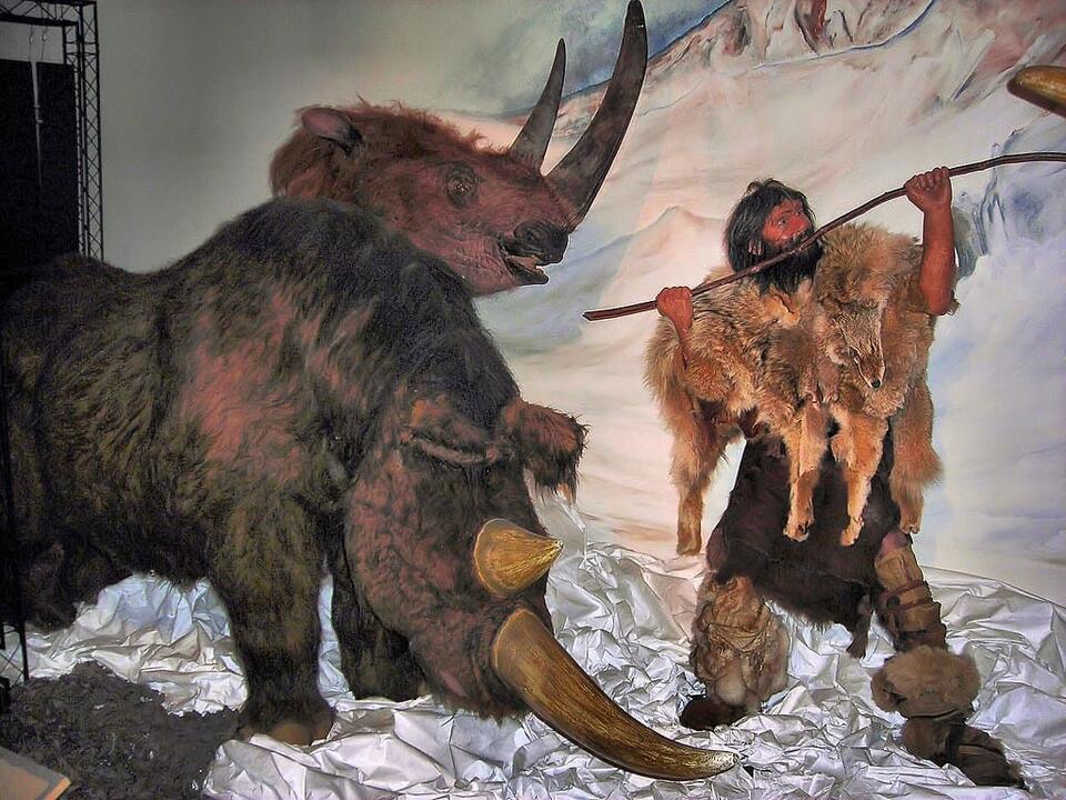 Woolly Rhino Found in Alaska?!