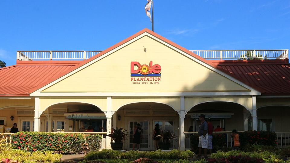 Tourist Traps Locals Secretly Avoid