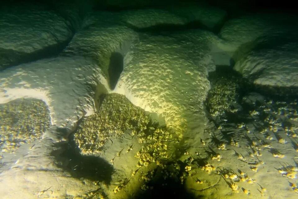 Lake Michigan’s Secret Craters?!