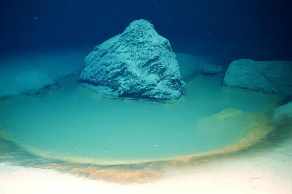 I Study Death Pools. I Live in One