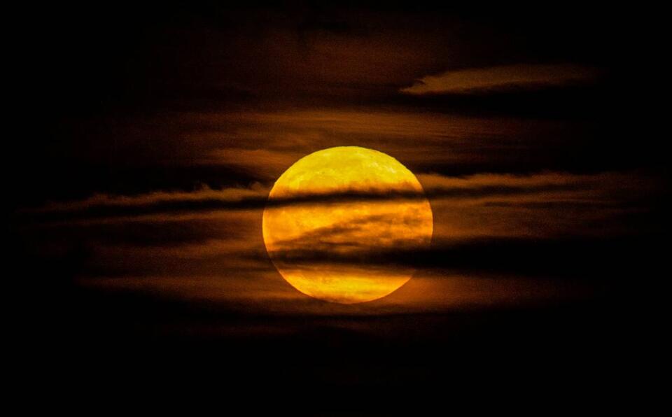 NYC’s Buck Moon Is About To Glow Up 🌕✨