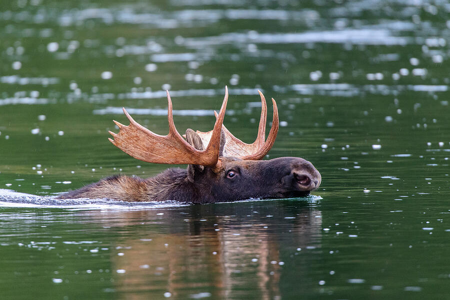 Anyone else have any unexpected animal sightings while hiking?