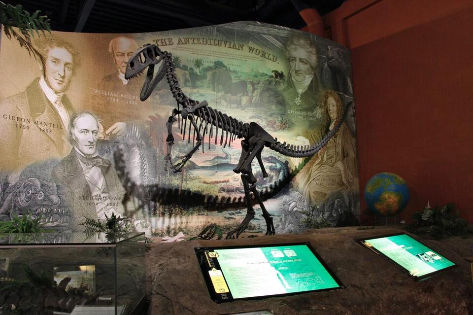 I Found Fossils. Lost Myself.