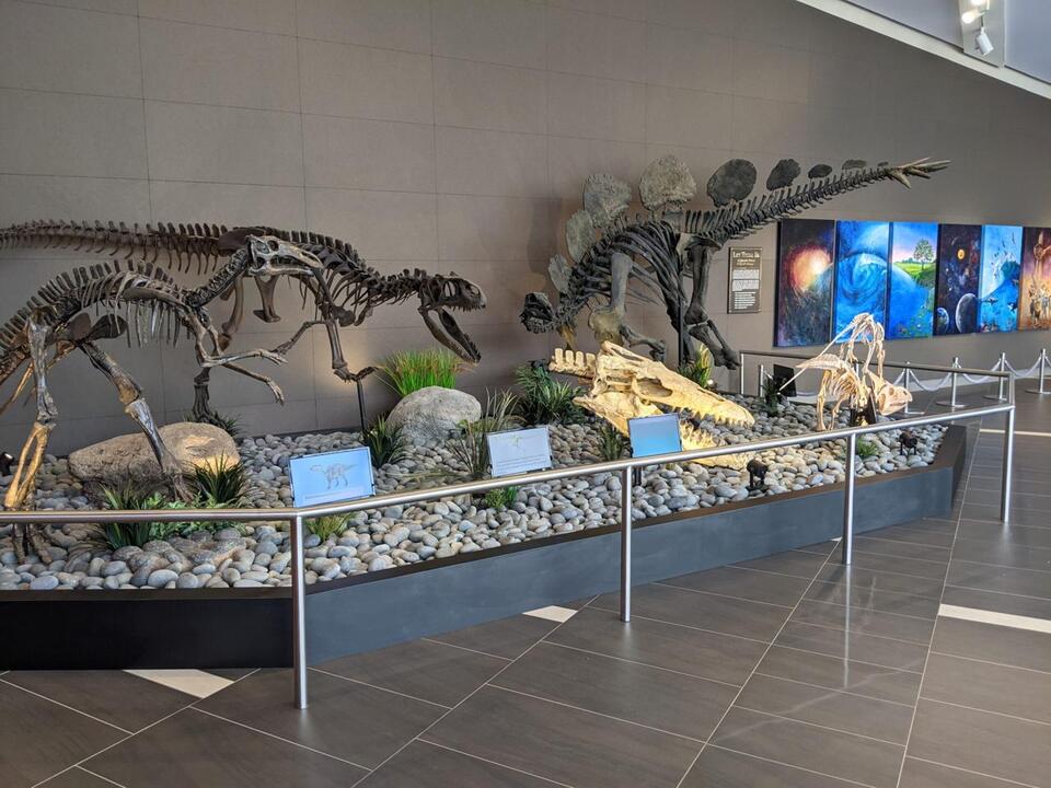 I Found Fossils. Lost Myself.