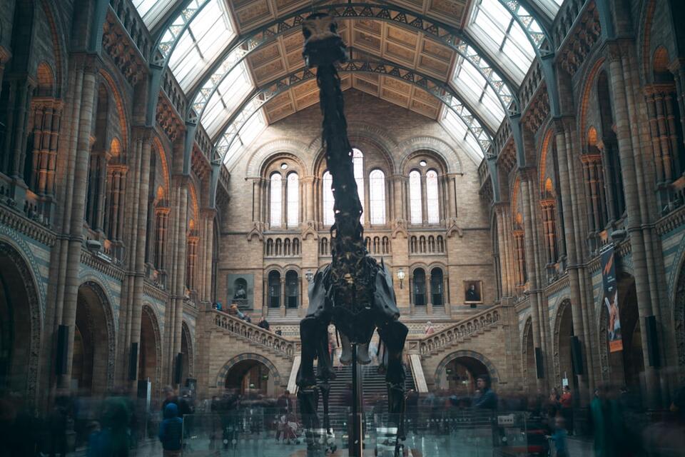 I Found Fossils. Lost Myself.