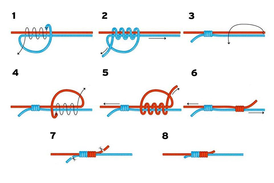 Stop losing fish with these knot hacks