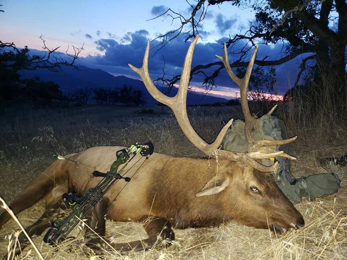 My first public elk hunt nearly killed me