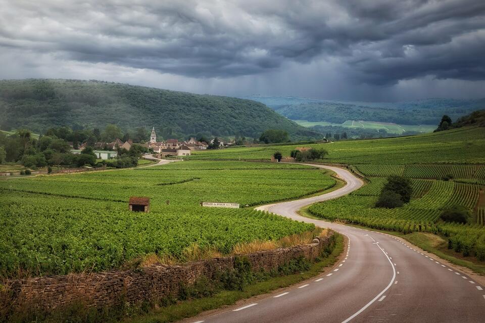 12 Countries That Are Nature Goals
