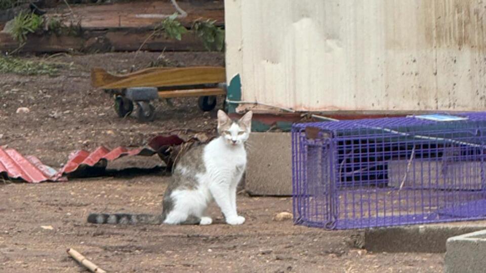 125 Pets Take Flight to New Homes!