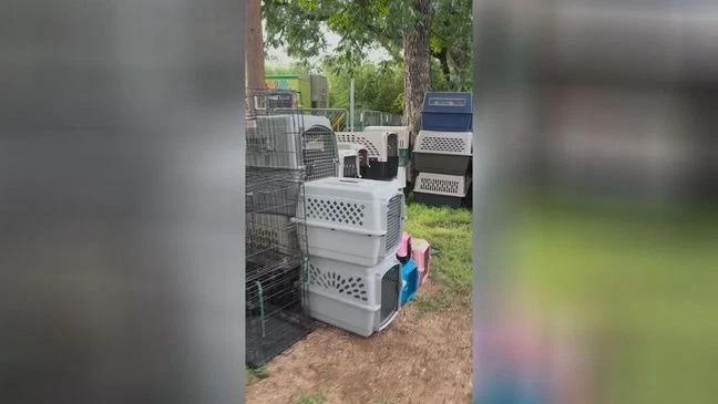 125 Pets Take Flight to New Homes!
