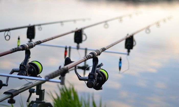 expensive rods don't catch more fish, right?