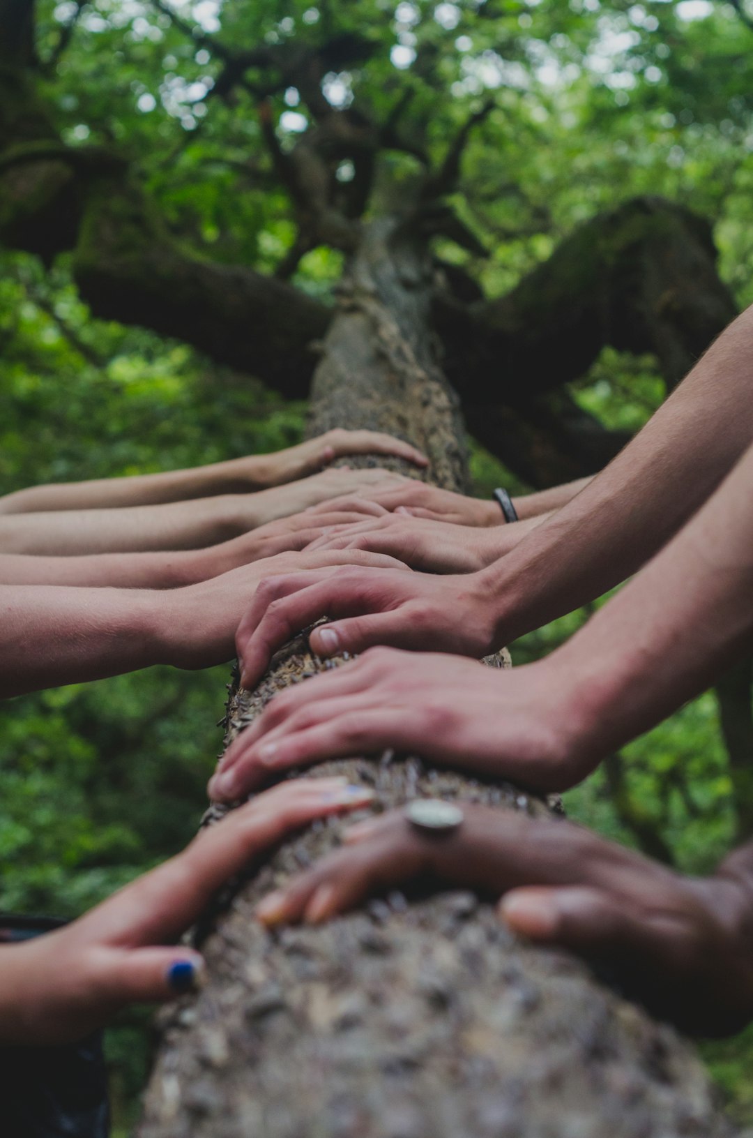 Do you have a regular hiking group?
