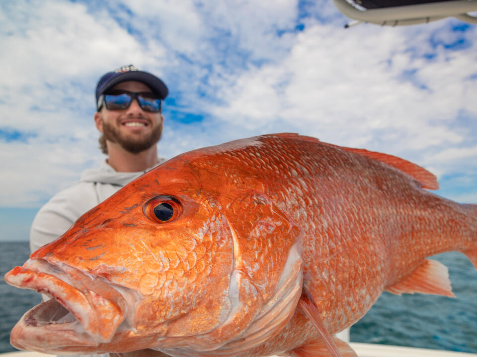 Red Snapper Drama: States vs. Feds