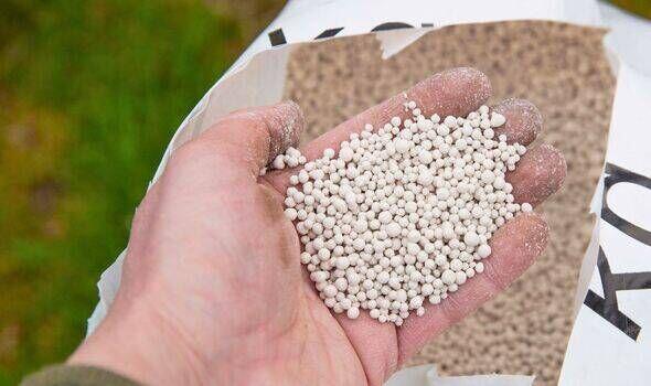 The Secret to Greener Lawns? Chicken Poop!