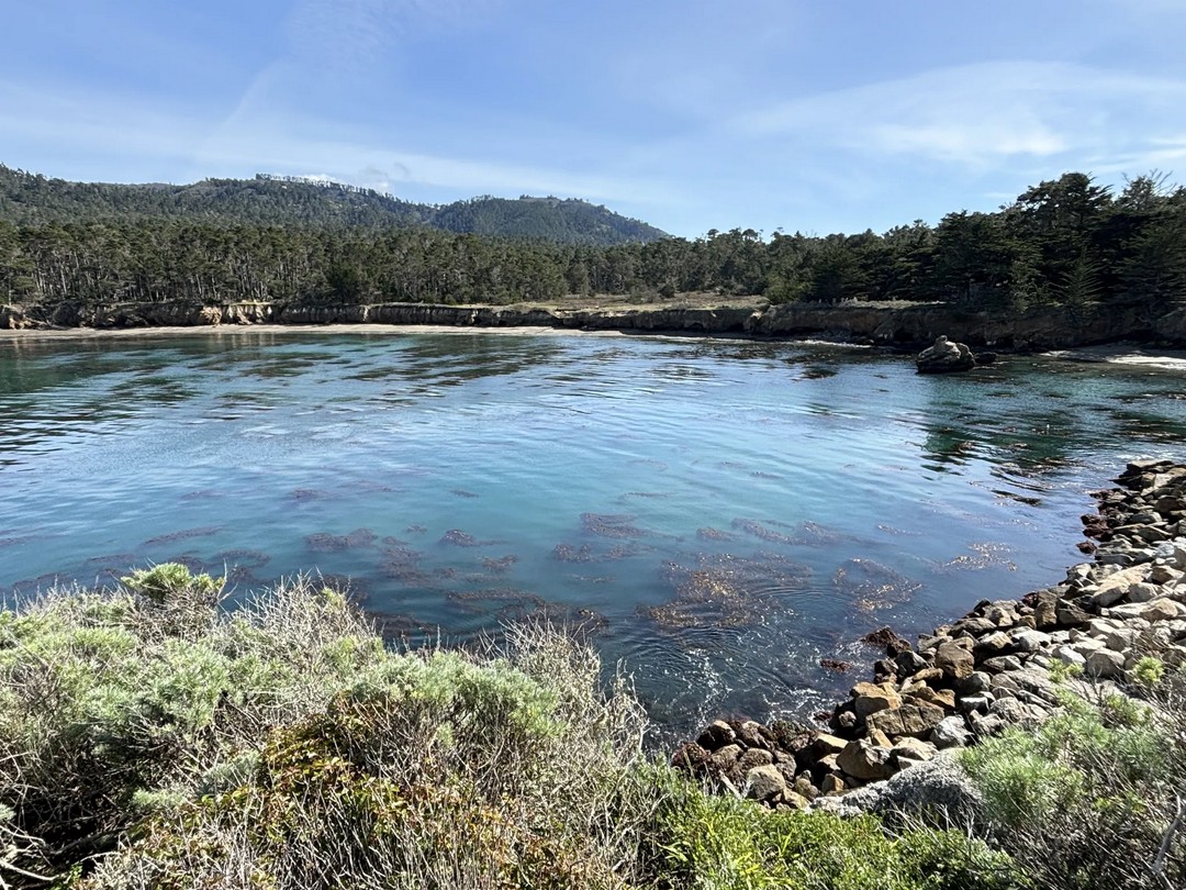 Lobos Coast Magic Trail