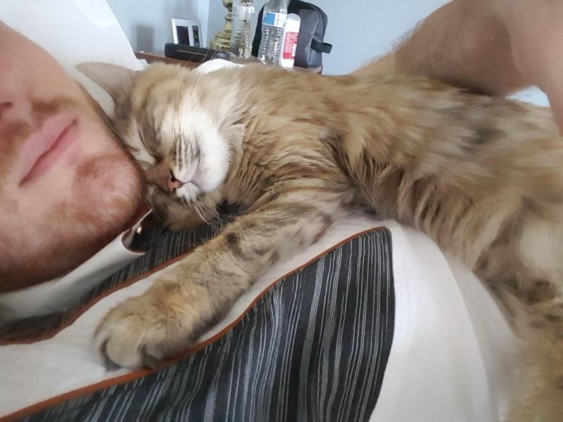 Never wanted cats. Now I'm a cat dad.