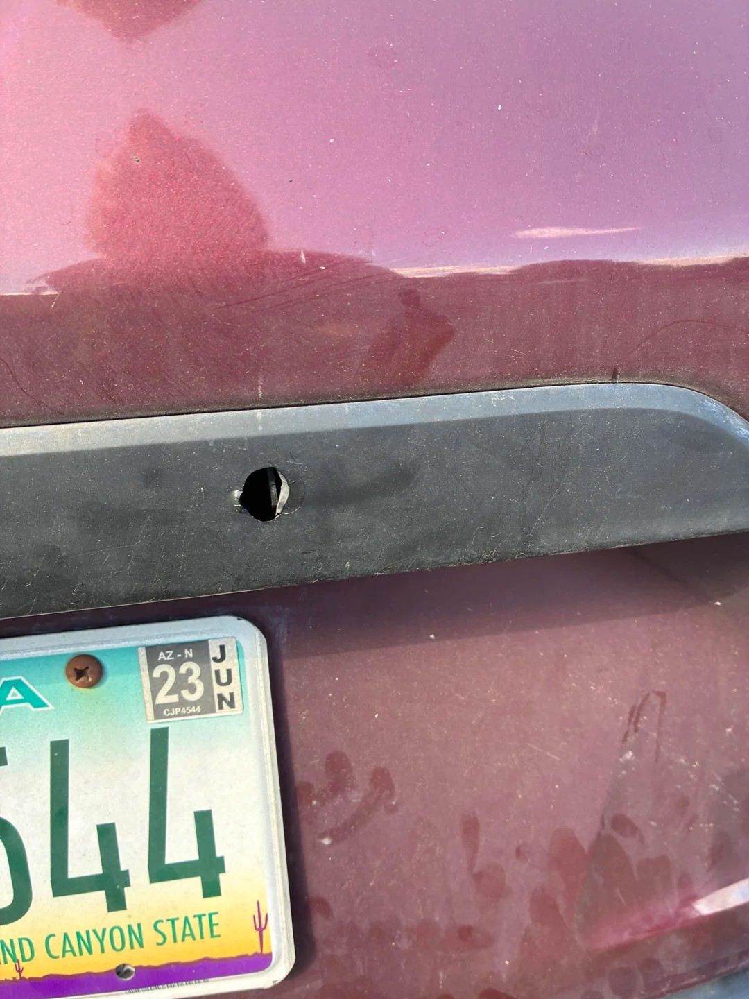 weird holes appeared in the trunk 😓