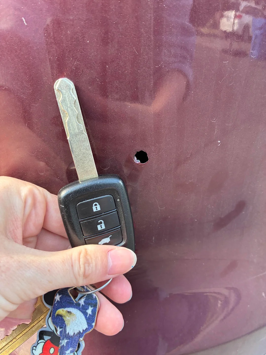 weird holes appeared in the trunk 😓