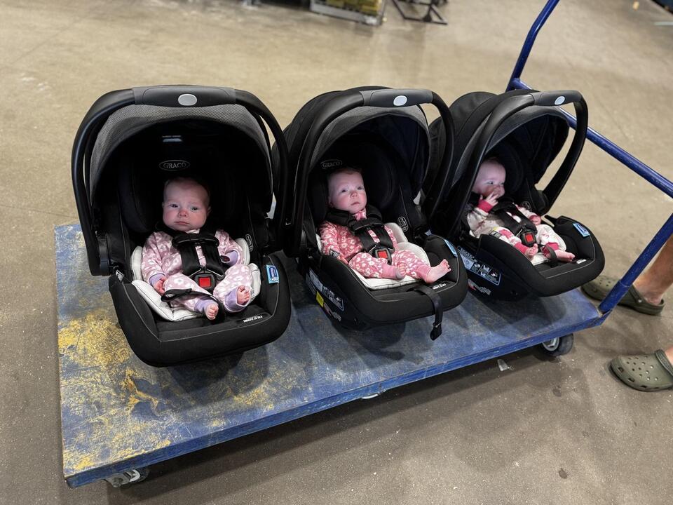 Triplets After a Decade?! Wild Surprise