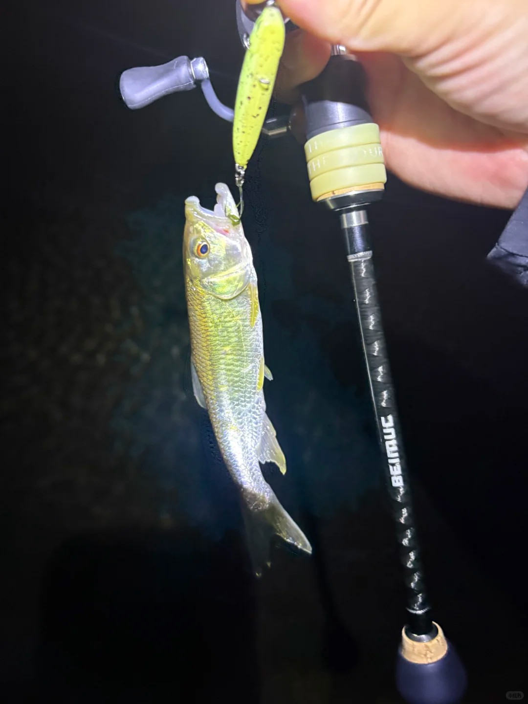 How do y'all fish every day without burning out? 