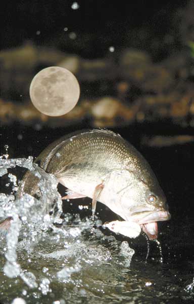 My best topwater bass explosion happened at 9pm