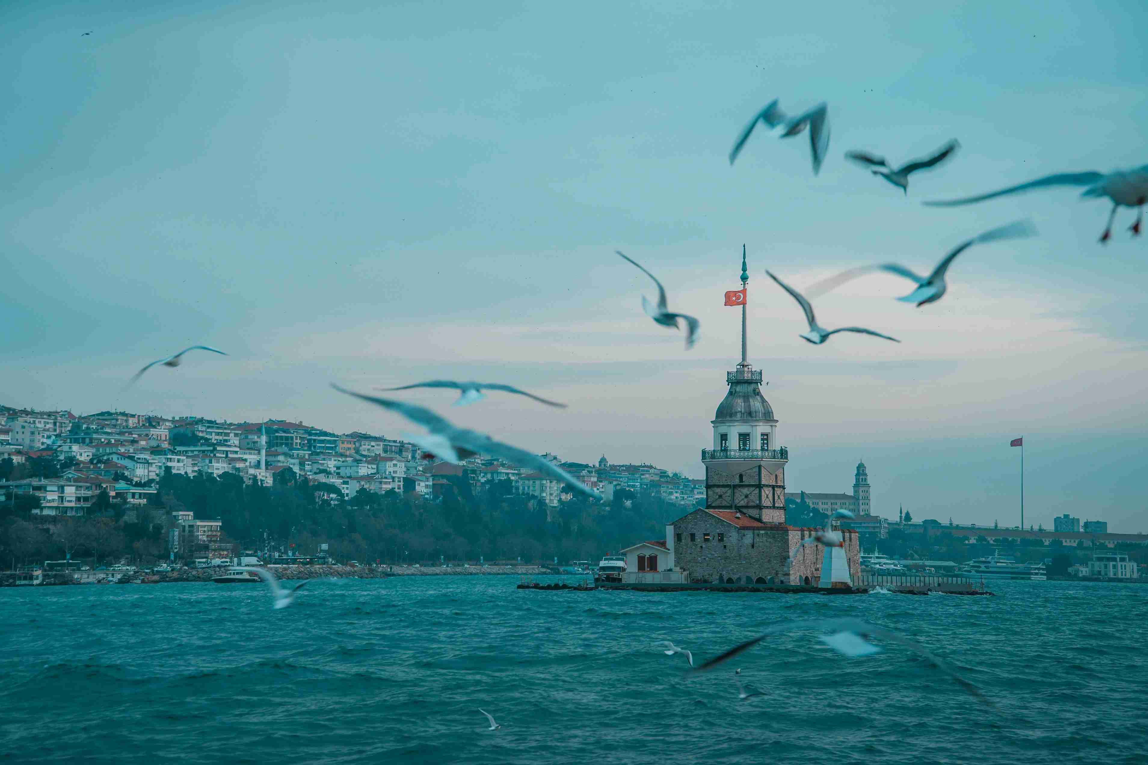 garanti bbva kripto partners with wyden to boost digital asset trading in turkey