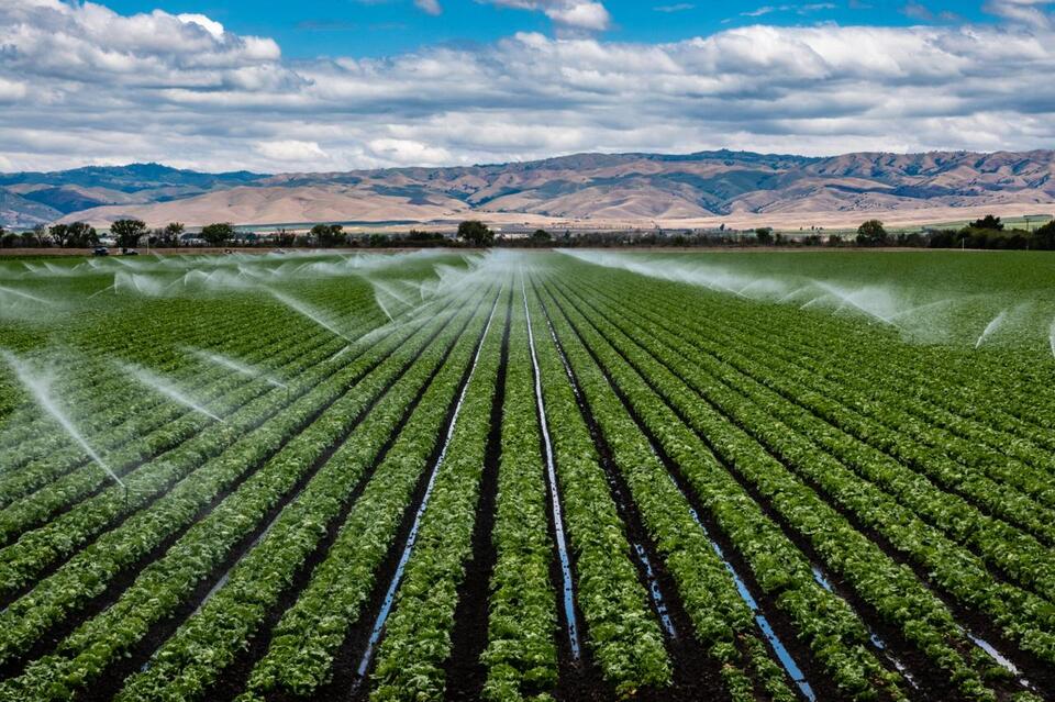 Coke Shuts Plants—What’s Up With That?