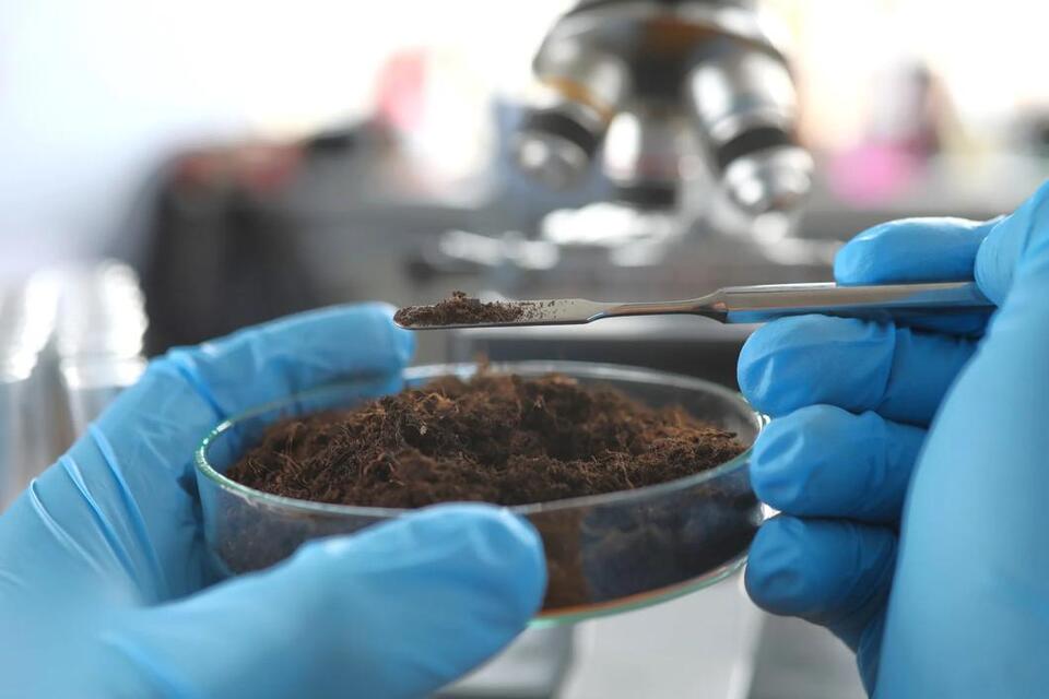 How Dirt Science Could Make Food Cheaper