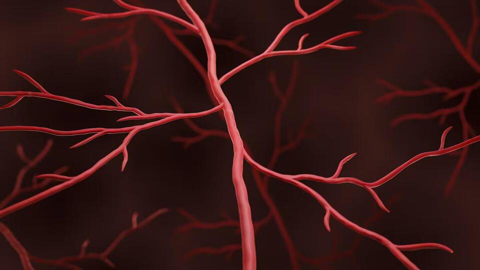 Cancer’s Sneaky Muscle Sabotage Uncovered