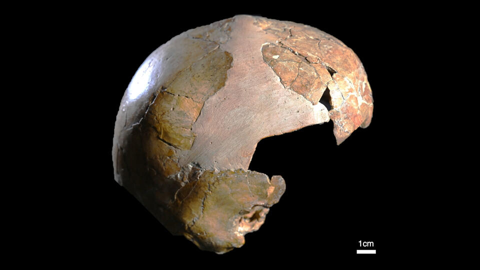 Ancient Kid: Human, Neanderthal, or Both?