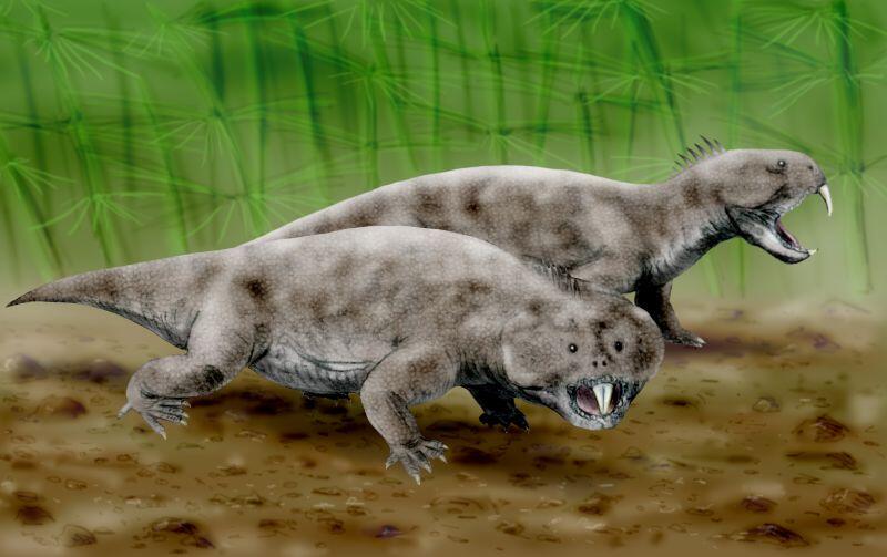 Triassic Creatures That’ll Blow Your Mind