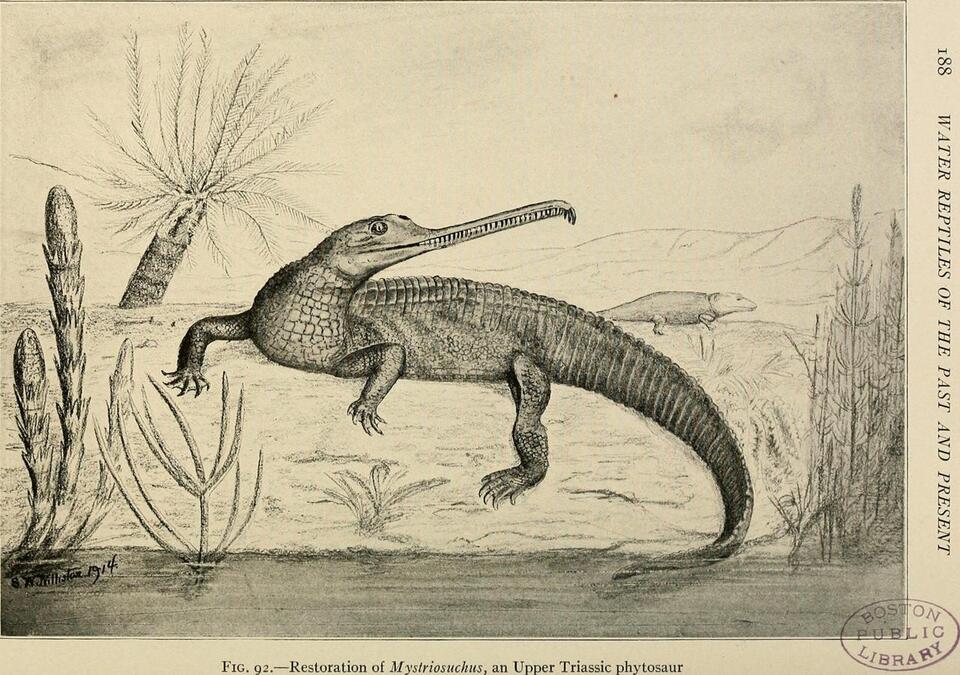 Triassic Creatures That’ll Blow Your Mind