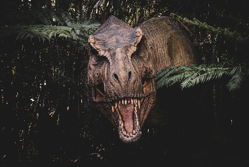 Triassic Creatures That’ll Blow Your Mind