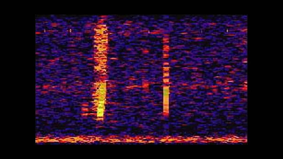 The Mystery of the 'Bloop' Sound