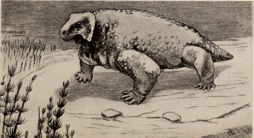 Triassic Creatures That’ll Blow Your Mind
