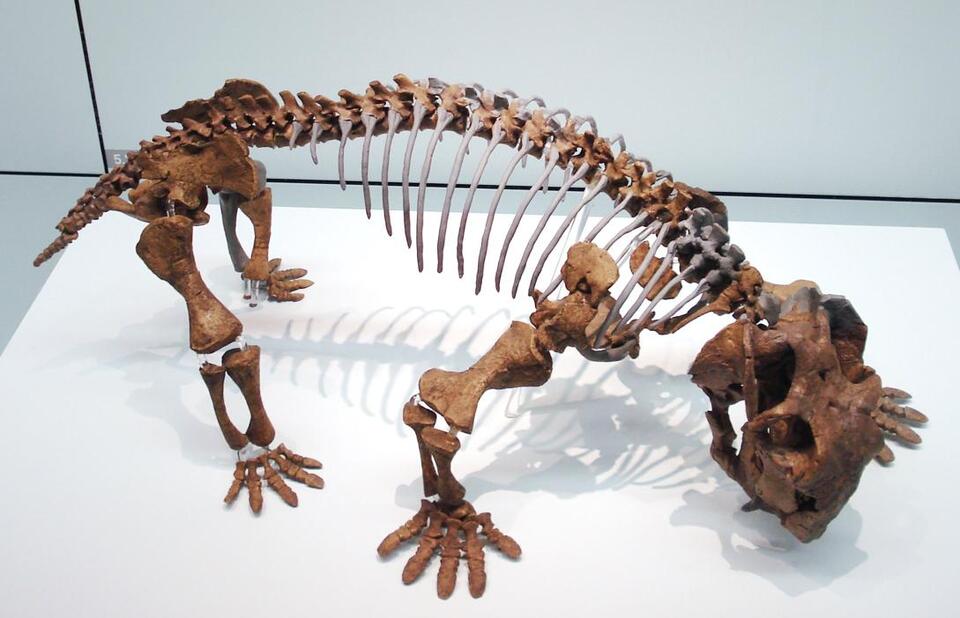 Triassic Creatures That’ll Blow Your Mind