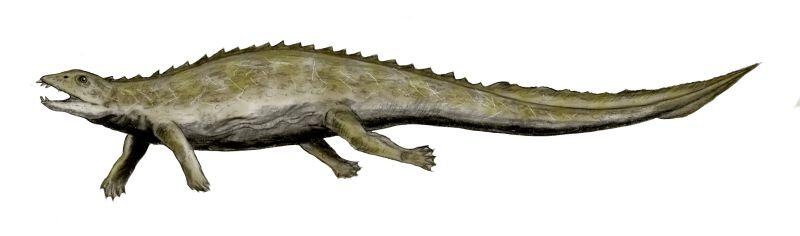 Triassic Creatures That’ll Blow Your Mind
