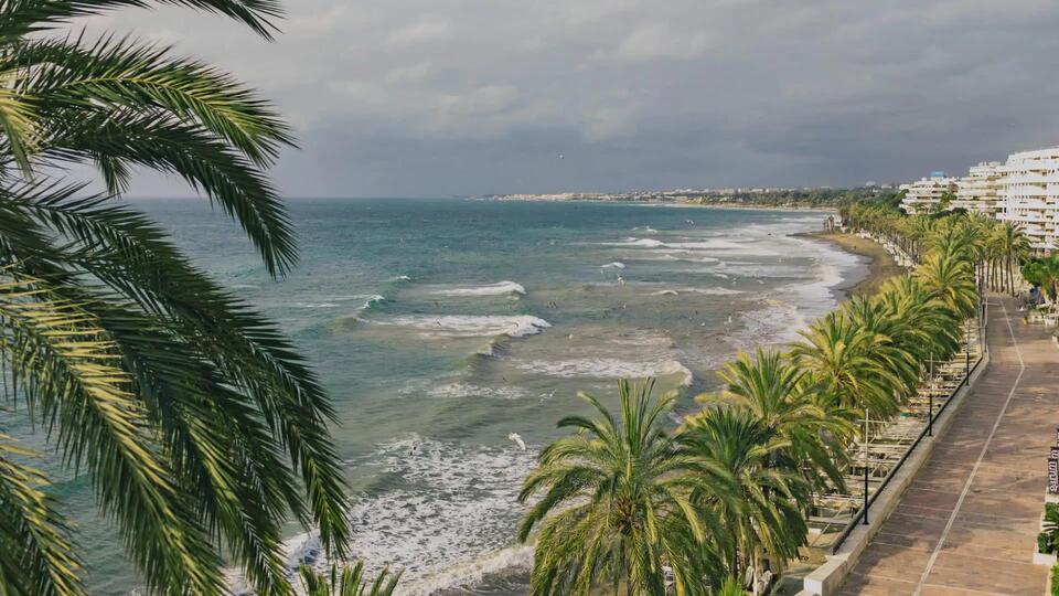 Spain’s Beaches Overrun by Alien Algae