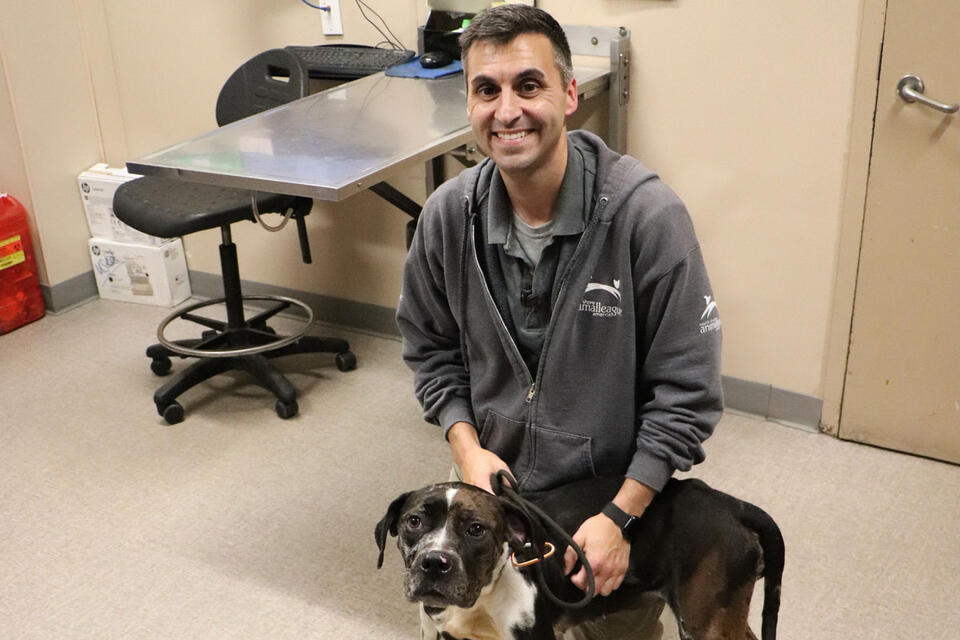 Remy’s Rescue: Teamwork Wins Big