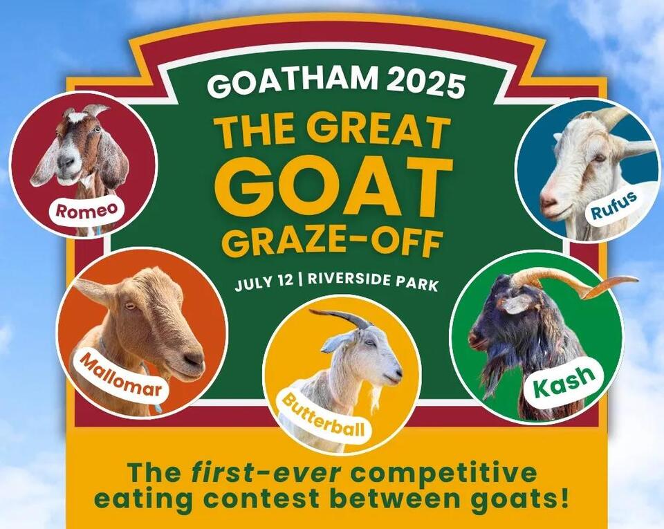 Goat Eating Contest Hits Manhattan!