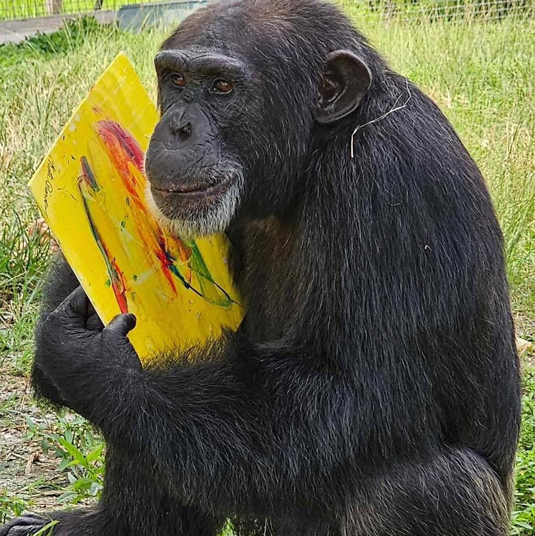 Ozzy’s Chimp Art Collab 🐒: Genius or Gimmick?